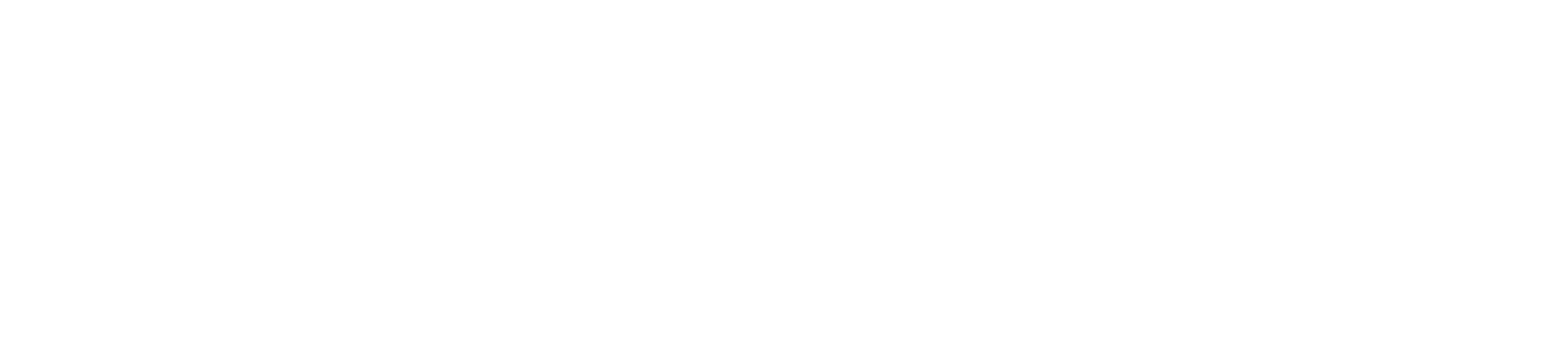 energieleser logo weiß