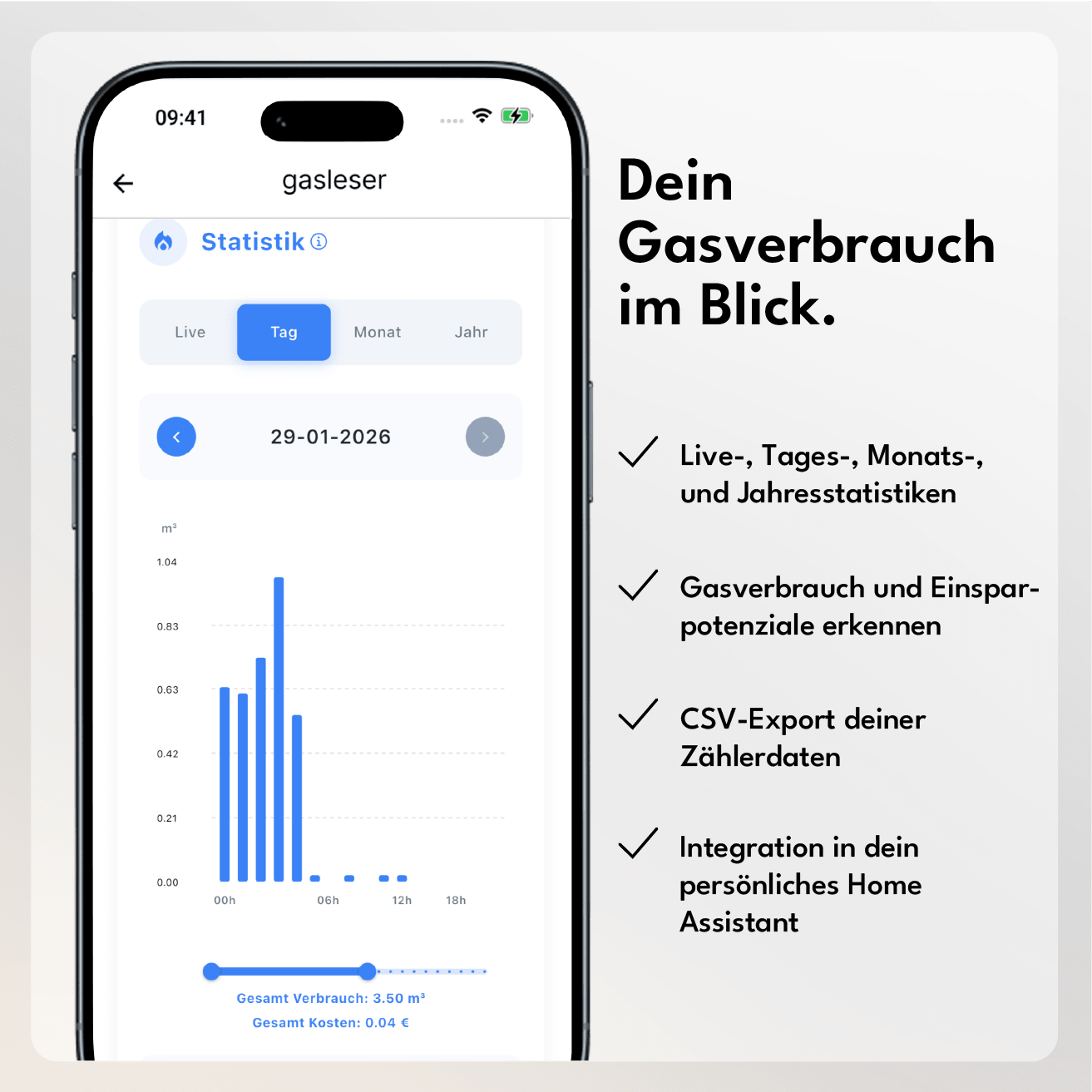 gasleser.pulse - energieleser