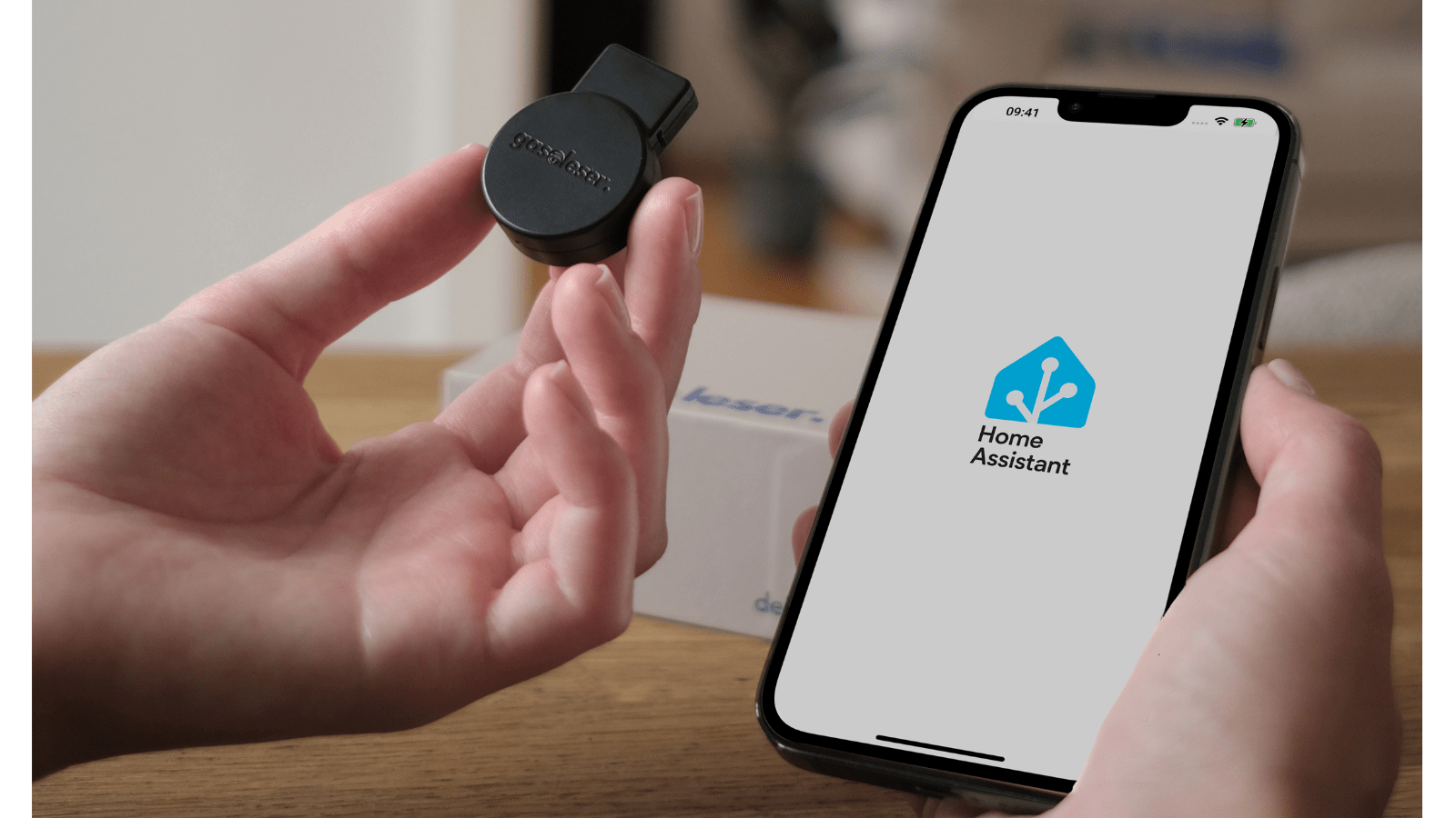 Home Assistant Integration für gasleser - stromleser